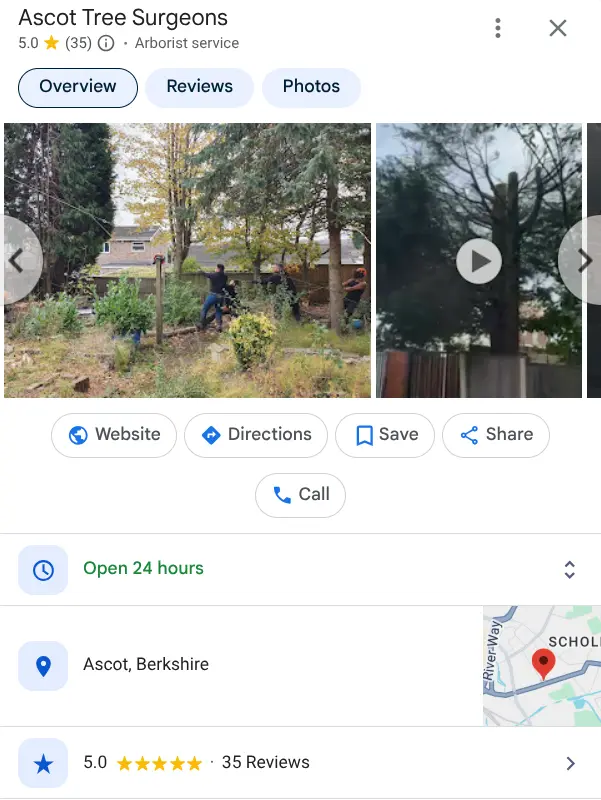 tree surgeon ascot